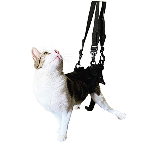 Lift Rear Dog Support Harness | Helps Dogs With Arthritis, Weakness, Joint Injuries Rehab | Adjustable Handles #TOP25