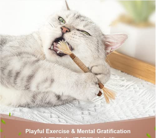HAIPAITE Silvervine Palitos de mastigar para gatos, palitos de mastigar erva-dos-gatos brinquedos pa