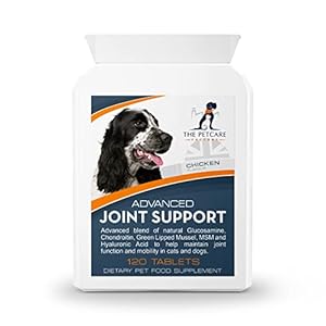 Advanced Joint Support Supplement For Dogs, With Powerful Glucosamine, Chondroitin, Green Lipped Mussel, MSM, Curcumin & Hyaluronic Acid, Human Grade Ingredients, 120 Tablets, UK Manufactured