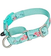 Petiry Martingale Collar Reflective Nylon Collar Anti-pull Coller with Safety Quick Release Buckl...