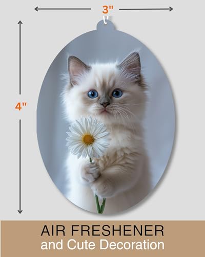 Image of Ragdoll Kitten - Cat Car Air Freshener - Cute Hanging Daisy Cat Decor New Car Scent, Infusible with Your Own Scent, Pet Safe, Non-Toxic, Freshener for Car, Closet, Office Size - 3x4 inch