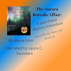Couverture de The Aurora Borealis Affair