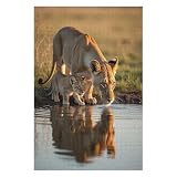 Wooden Jigsaw Puzzles - The Lioness and Her Cubs Drink Wooden Puzzle for Adults 300 Piece,Fun Leisure Game Educational Toys Decompressing Intellectual Puzzles Suitable Family Friends Decorations Gift