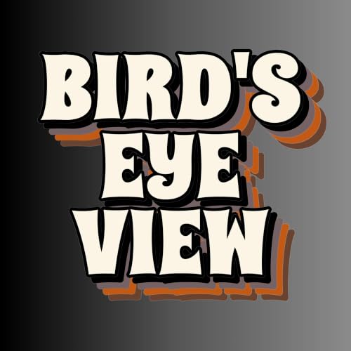 『Bird&rsquo;s Eye View』のカバーアート