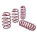 Eibach E20-20-045-01-22 Sportline Kit