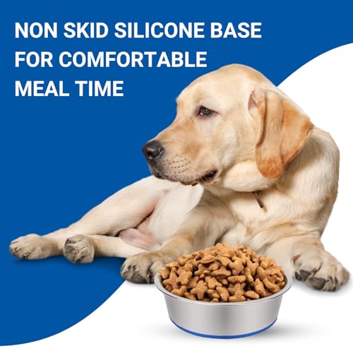 Image of Pets Empire Stainless Steel Dog Bowl with Non-Slip Silicone Base | Food & Water Bowl for Dogs & Puppies | Rust-Resistant, Heavy Duty, Anti-Skid Pet Feeding Bowl | Silver & Blue (1 Piece) (200 ML)