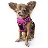Doggie Design Venture Paw - Arnés para perro sin tirones, arnés ajustable simple para cachorros, collar antitirones para paseos y aventuras al aire libre, frambuesa salvaje, XS