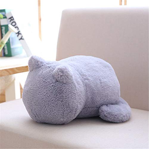 Klinkamz Coussin Chat Peluche Cadeau Anniversaire Doux Confortable pour Voiture Bureau Enfants