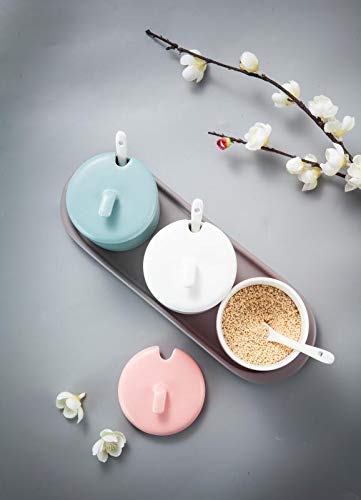 Decentgadget Set Of 3 Colorful Ceramic Condiment Pots Sugar Bowls Spice Jars For Salt, Sugar And Pepper, Seasoning Box Set With Lids, Spoons And Base (Green+White+ Pink) #TOP2