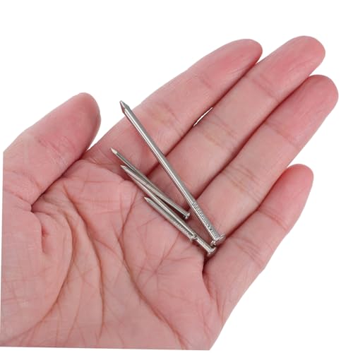 Image of HOMSFOU 1set Wall Hanging Nails Multi-Specification Hardware Nails Tool Box for Securing Picture Frames and Boards for Versatile Wall Mounting Projects