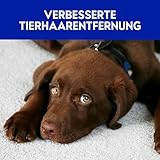 Vanish GOLD Power Schaum Teppichreiniger – Teppich Reinigungsmittel – Extra stark gegen Schmutz, schlechten Geruch & Staub – 1 x 650 ml