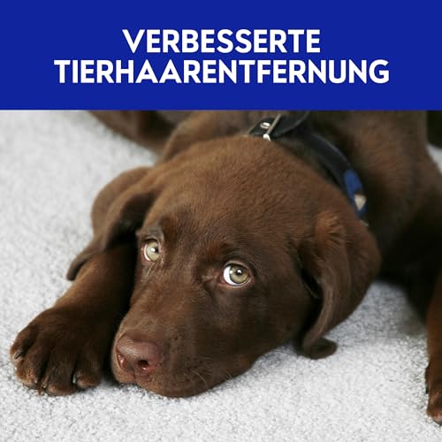 Vanish GOLD Power Schaum Teppichreiniger – Teppich Reinigungsmittel – Extra stark gegen Schmutz, schlechten Geruch & Staub – 1 x 650 ml