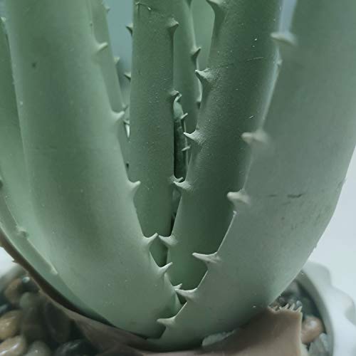 Suntimber Artificial Fake Plant Decor,Aloe Faux Plants In Elegant Ceramic Pot For Bathroom Shelf Decor, Desk Plant For Home & Office Decor - Artificial Fake Succulent Potted #TOP5