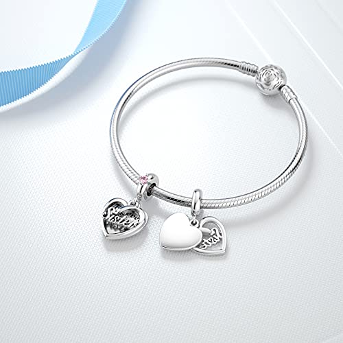 Jiayiqi Gifts For Sister, Sister Charms For Pandora Charms Bracelet 925 Sterling Silver Openwork Love Charms With Cubic Zircon For Friendship Women Girls Birthday Christmas Gift #TOP6