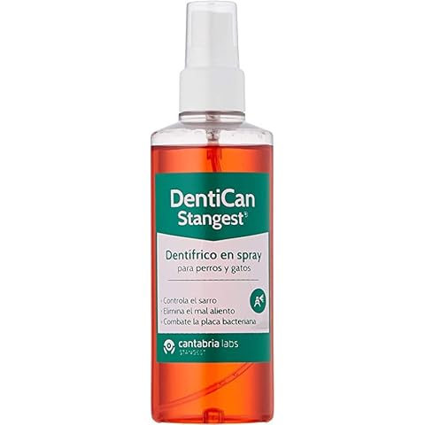Stangest DentiCan Spray | Dentífrico en Spray para Perros y Gatos Cover