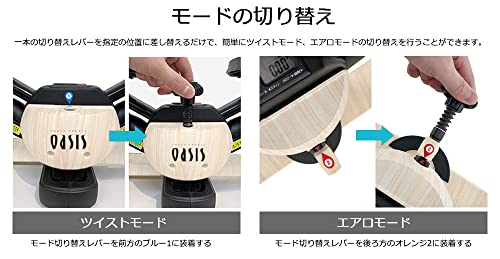 東急スポーツオアシス ツイストエアロステッパー Premium プ