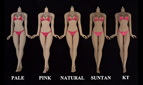 Hiplay Jiaou 1/6 Scale 12 Inch Female Super Flexible Seamless Figure Body, Slender Type Minature Collectible Action Figures(Kt Skin) #TOP5