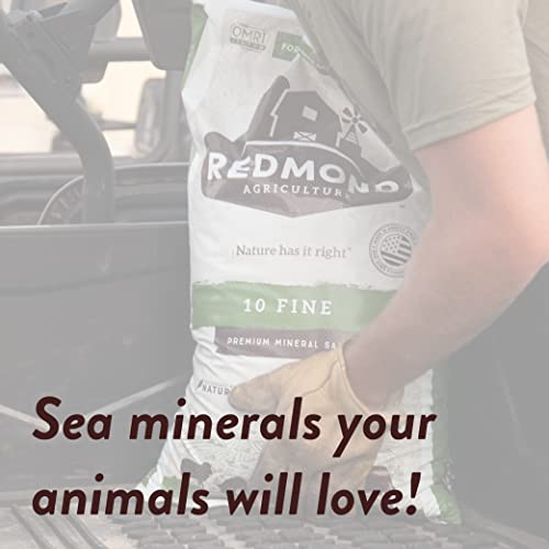 REDMOND 10 Fine Natural Livestock Mineral Salt, OMRI Listed, 5LB Bag - Thumbnail 4
