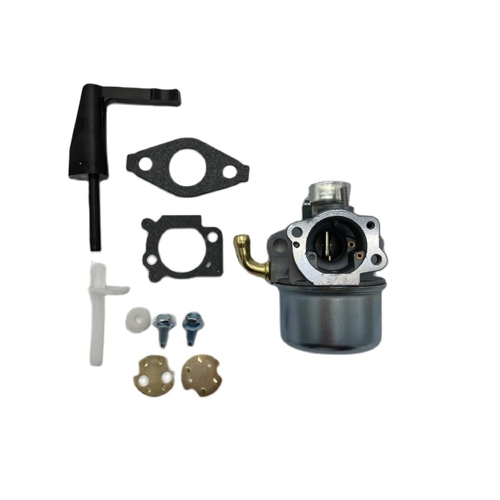 Carburateur pour BS 791077 698860 assurant une carburation stable