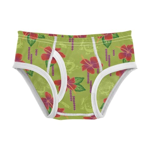 Boys' Exclusive Briefs Toddler Underwear 95% Combed Cotton Boxerbriefs 2T Hibiscus and Leaf Pattern 13
