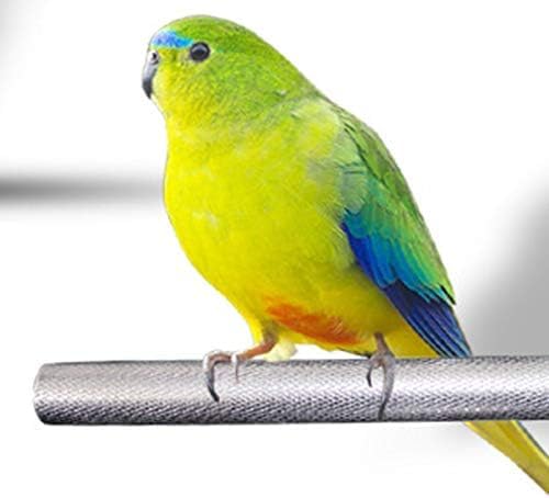 Amazon.co.jp: 鳥用 止まり木 パーチ 爪とぎパーチ 小型18cm