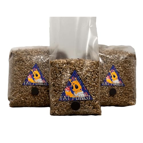 Grain Spawn Bag - 750g Sterilized Organic Rye - Grow Mushroom Kit - Unicorn Bags…