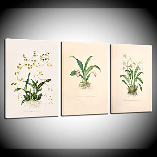 Affiches et impressions fleurs vintage pour réveiller le décor mural de votre salon