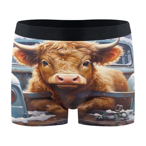 Highland Cow Animal Men's Boxer Briefs Underwear Stretch Breathable Boxer Briefs for Men Boys Kids S S0403976