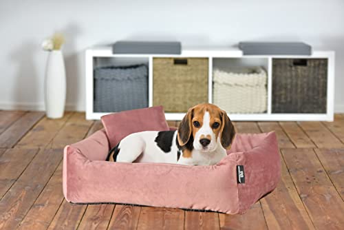 Hundebett Kuschelsofa Hund Weich + Hundekotbeutelset (M, Rosé)