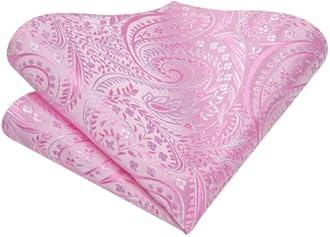 Hi-Tie Silk Paisley Ties for Men Necktie Pocket Square Cufflinks Set Foral Tie Sets Formal Business