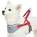 Blueberry Pet Soft & Comfy Harnais rembourré pour chien avec bandes réfléchissantes 3M pour tour de poitrine 42-54 cm, rouge, taille S, harnais de dressage réglable en nylon pour chiens