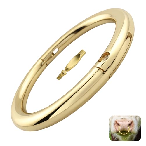 Bull Nose Ring Solid Polished Brass 3 Inch Bull Ring Hinged with Self-Piercing Point and Break-Off Set Screw Semi-Permanent Cattle Handling Hardware for Farm & Ranch Livestock