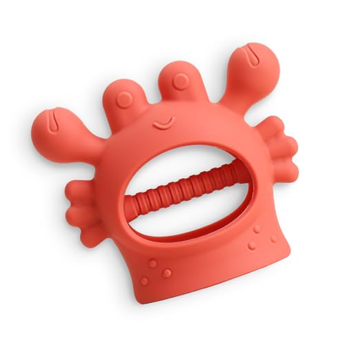 Itzy Ritzy Bitzy Teether