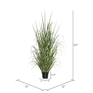 Vickerman 24 everyday artificial green potted ryegrass with black plastic pot faux grass plant decor home or office indoor greenery accent maintenance free  urban country home decor