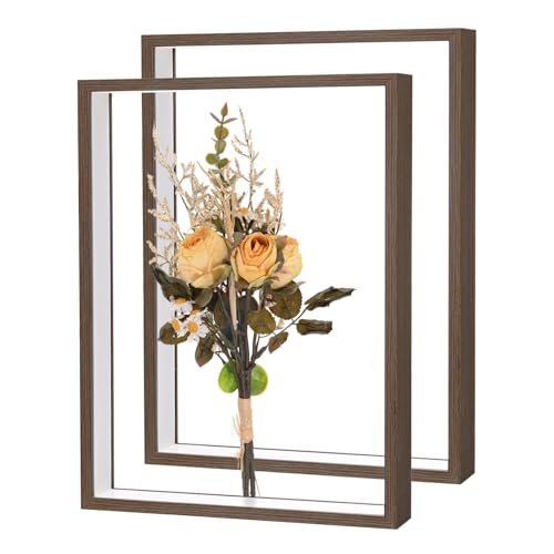 M METERXITY 2-Pack Dried Flower Frame 12 x 16 Inchch, Coffee