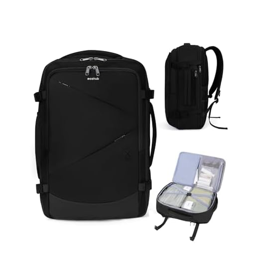 Does american allow extra luggage as per qatar ECOHUB 30L Travel Backpack for All