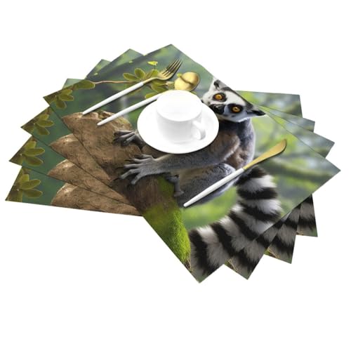 Lot de 6 sets de table lémurien en PVC lavable résistant à la chaleur