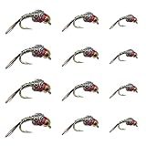 Feeder Creek Fly Fishing Trout Flies Tungsten Rainbow Warrior Midge - One Dozen Wet Flies - 3 Size Assortment 16,18, 20 (4 of Each Size)