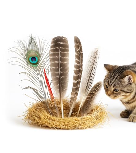 Lunarcat L  H VR L炵 yHz  6 mߋ ^ lV XgX m[Y[N LegCiGb`gj C^NeBuߋ L qL VL ނ  Vѓ kop