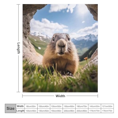 Couverture polaire marmotte pour des soirées cocooning chaleureuses