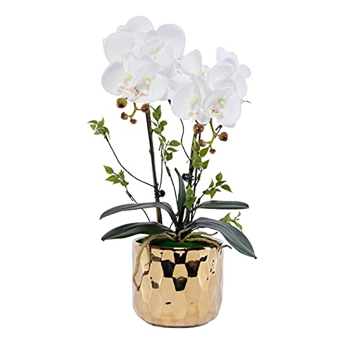 Orchidée Phalaenopsis artificielle fleur sans entretien pour table et salon toujours fleuris