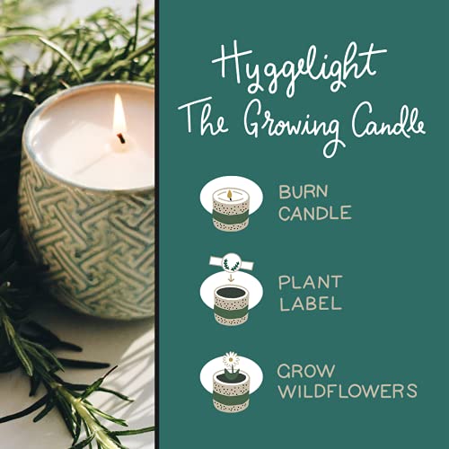 The Growing Candle, from Flame to Flower, Chai Scented, Non-Toxic, 100% Soy Wax, Indoor Wildflower Garden, Aromatherapy Gift for Women, 10oz, 55 Hr Burn Time, Ida