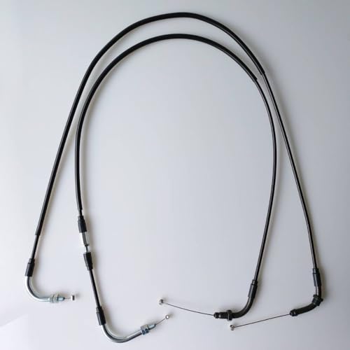 Motorcycle NEXYL HONDA DAX125p fAXbgP[u 20cmO {