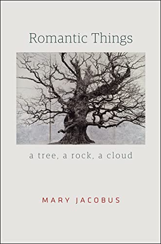Romantic Things – A Tree, a Rock, a Cloud view 2
