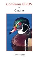 Common Birds of Ontario 0973039078 Book Cover