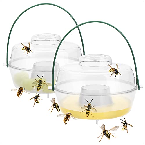 COM-FOUR® 2X piège à Insectes en Plastique à Suspendre - piège à guêpes, Mouches et frelons pour l'extérieur - Attrape-Insectes (02 pièces - Transparent 10cm)