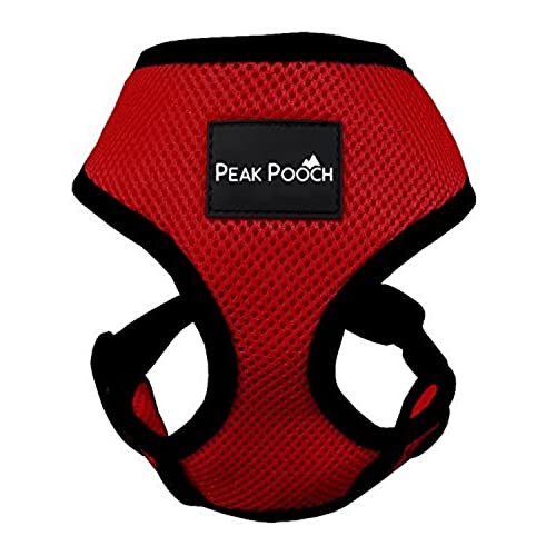 Downtown Pet Supply - Dog Harness For Small Dogs No-Pull - Step In Dog Harness - Padded Mesh Fabric Dog Vest With Adjustable Belly Belt & Quick-Snap Clip - Red - 9 In Neck - Small Dog Harness #TOP7