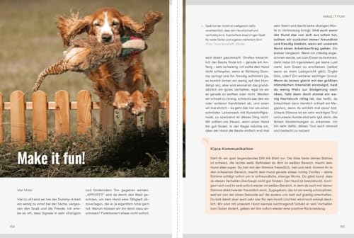 Dummy-Training - mehr als Apportieren: Team werden - Herausforderungen meistern - Leichtigkeit finden