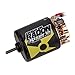 Team Associated Reedy Radon 2 Crawler 5-Slot Brushed Motor 12T 2700Kv 3.5mm Bullet ASC27431 Electric Motors & Accessories