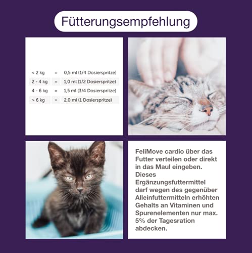 FeliMove dental - Liquid für Katzen mit Vitalpilzen, Propolis, EPA und Zink (auch bei FORL, Entzündung oder Rötung des Zahnfleisch verträglich)